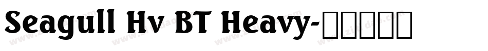 Seagull Hv BT Heavy字体转换
